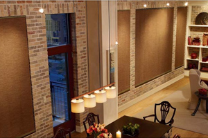 Crestron, Runco Projectors, McIntosh Audio Amplifiers