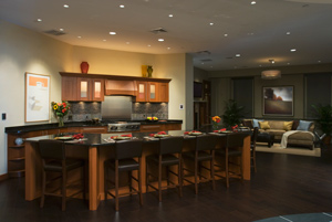 Crestron, Runco Projectors, McIntosh Audio Amplifiers